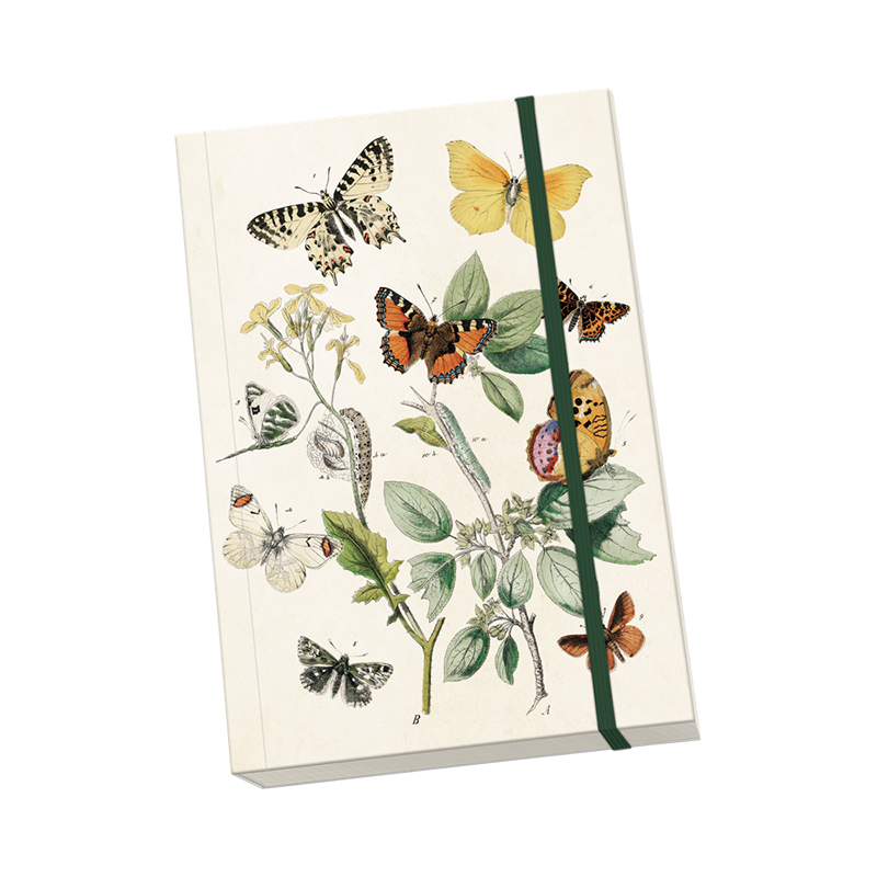 notebook.butterflies