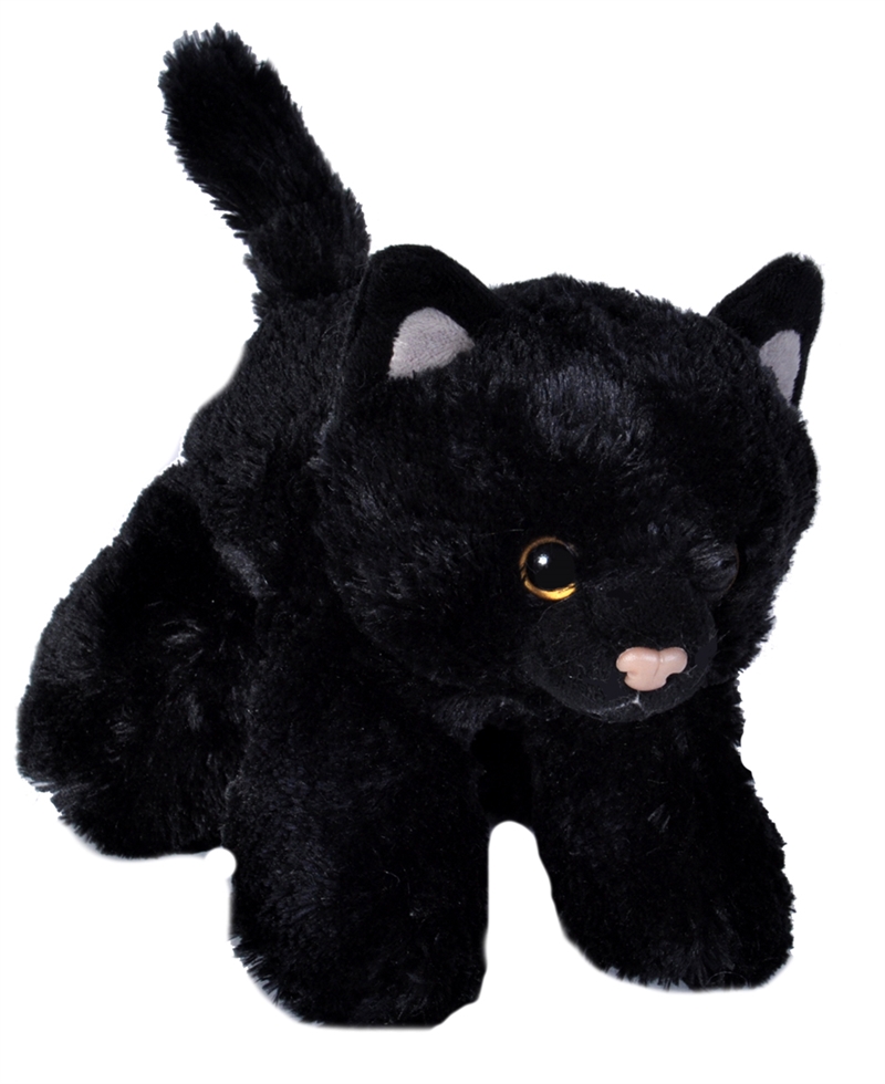 svart-katt-mini