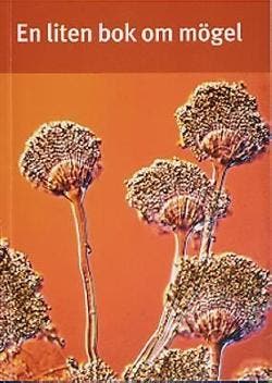 En liten bok om mögel