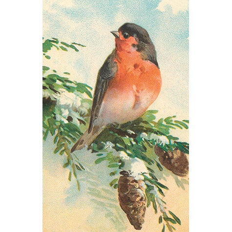 Paketkort Domherre 6x9,5