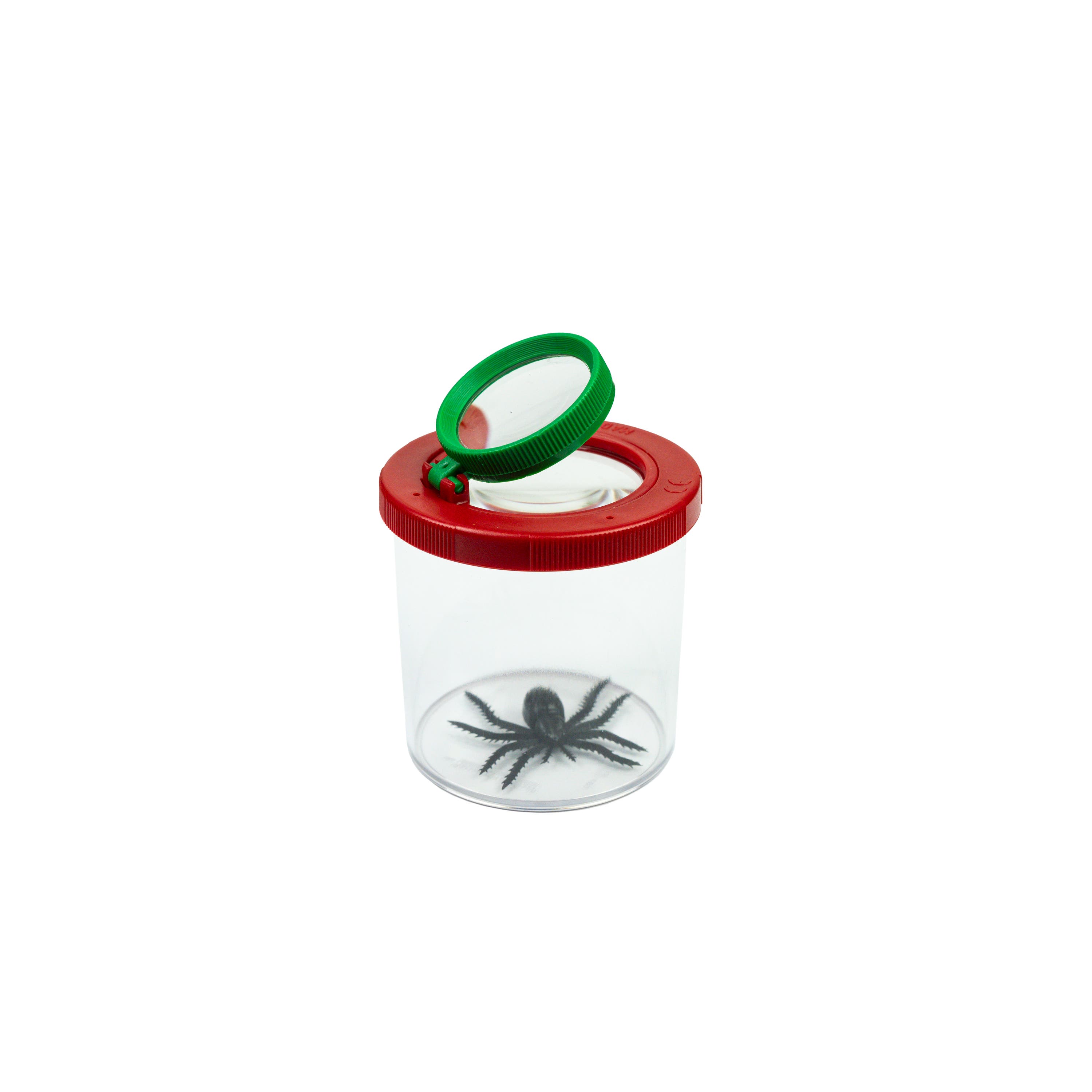 Insect Jar