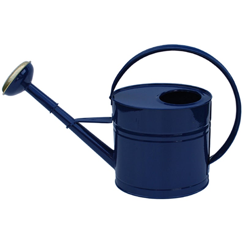 Blue Oval Watering Can – 4 L