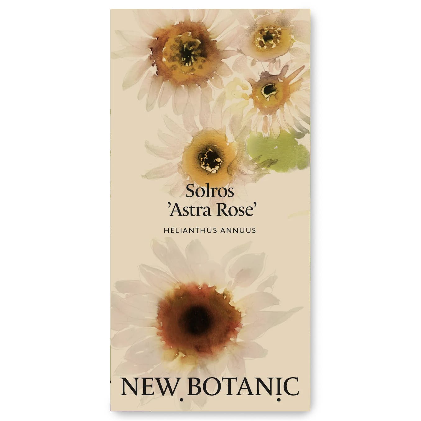 Seed Packet – Sunflower ‘Astra Rose