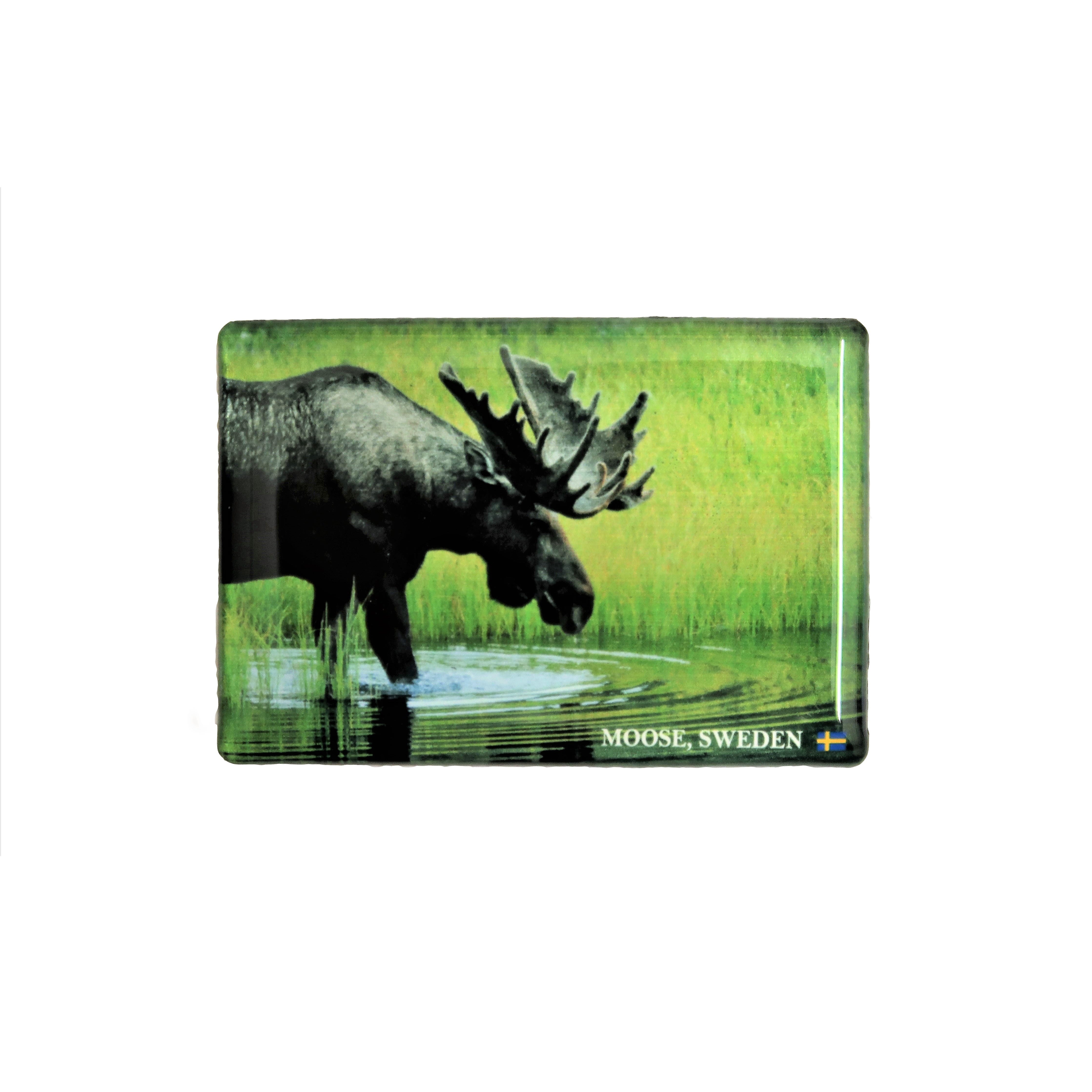 Magnet Älg