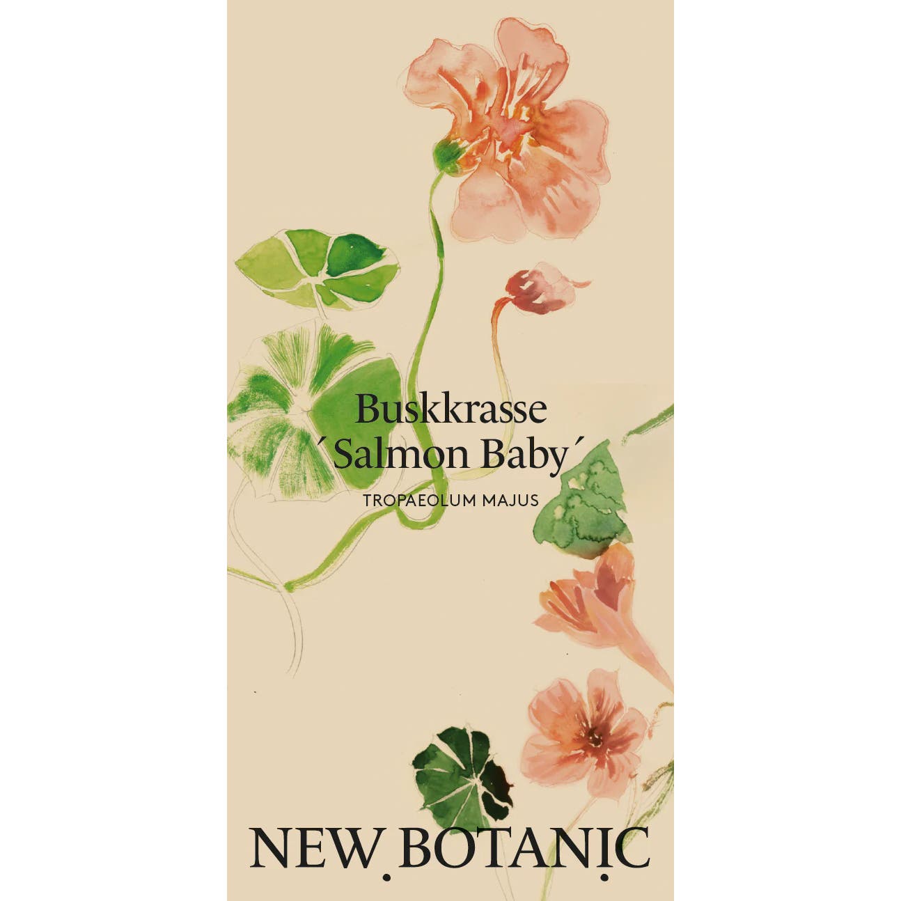 Seed Packet – Dwarf Nasturtium 'Salmon Baby'