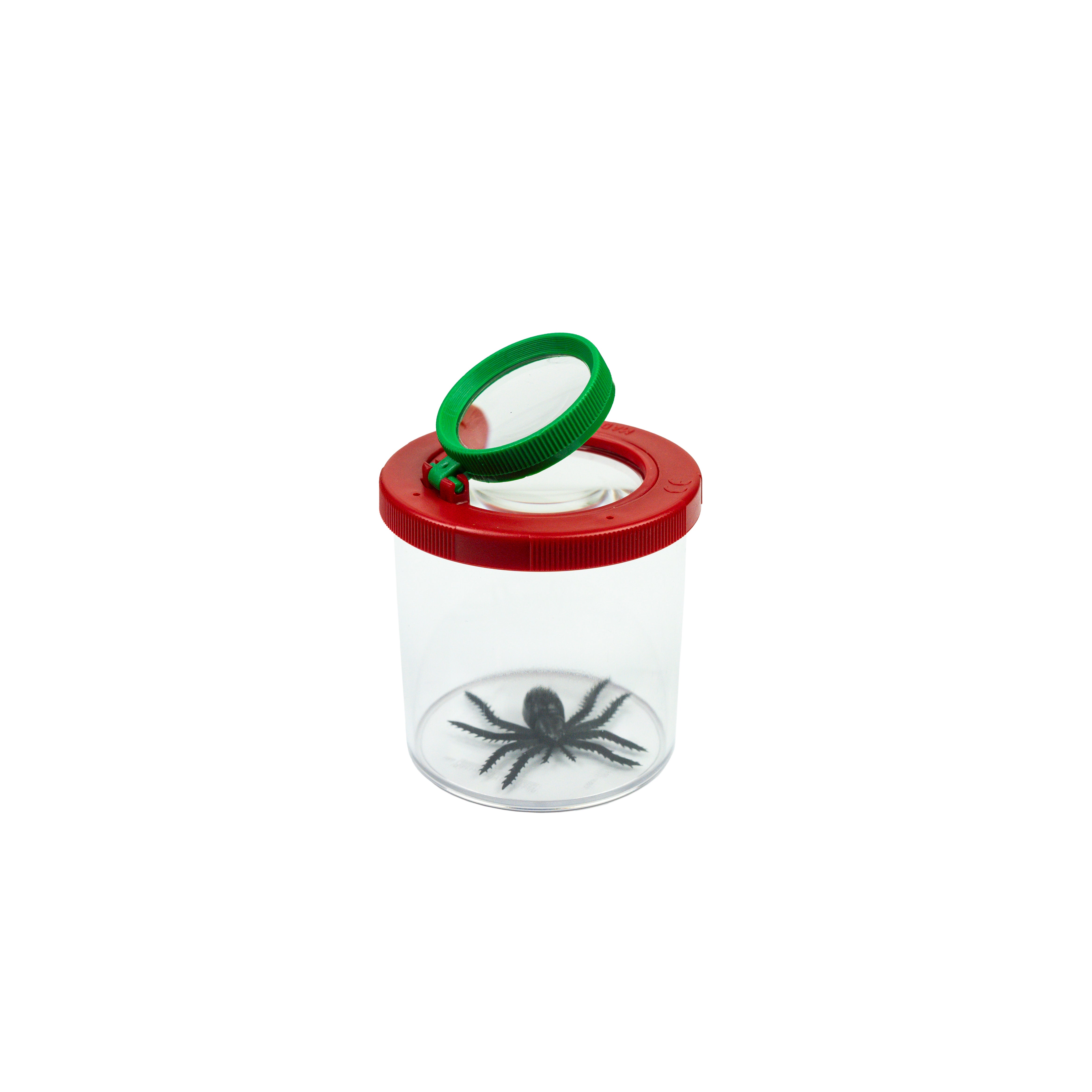 Insect Jar