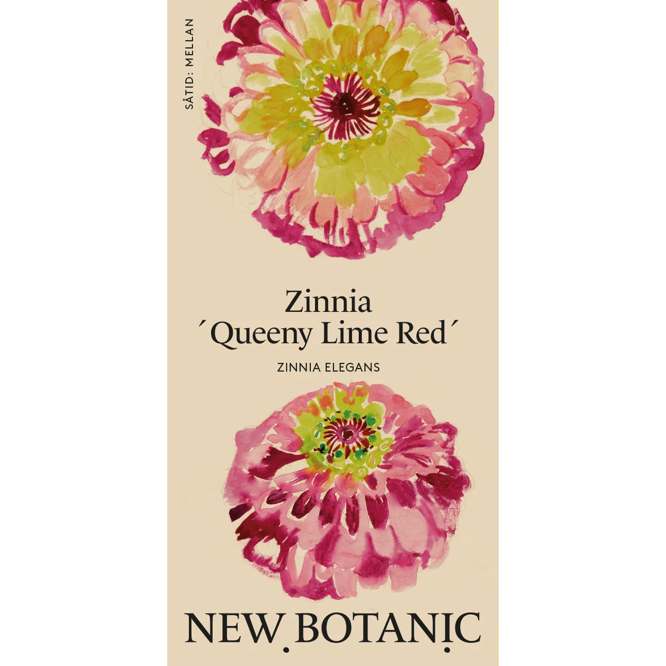 Seed Packet – Zinnia ‘Queeny Lime Red’