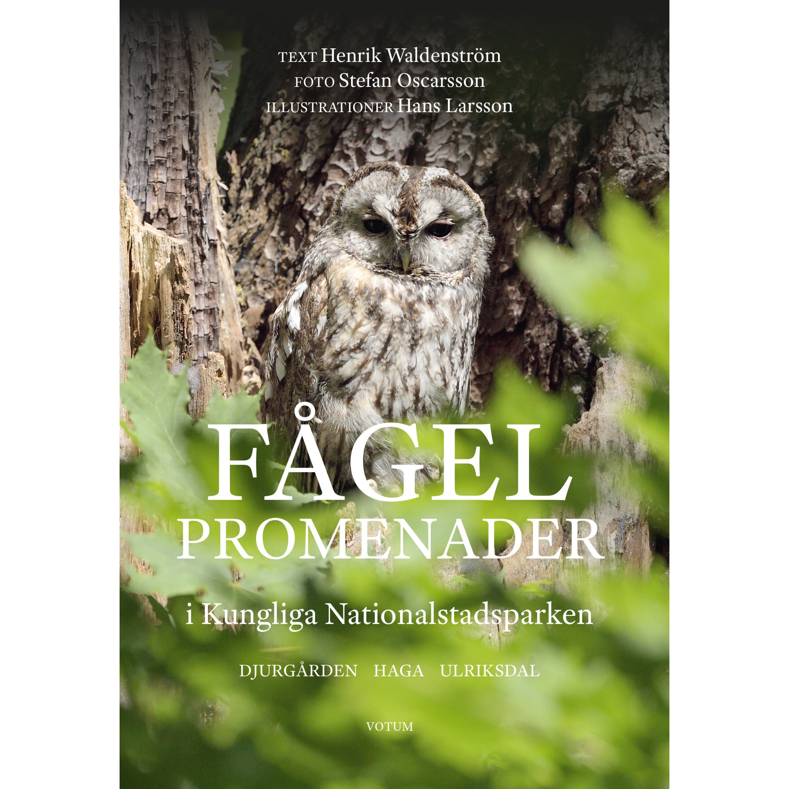 Fågelpromenader i Kungliga nationalstadsparken