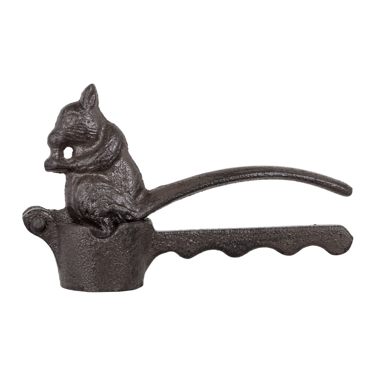 Nutcracker Squirrel