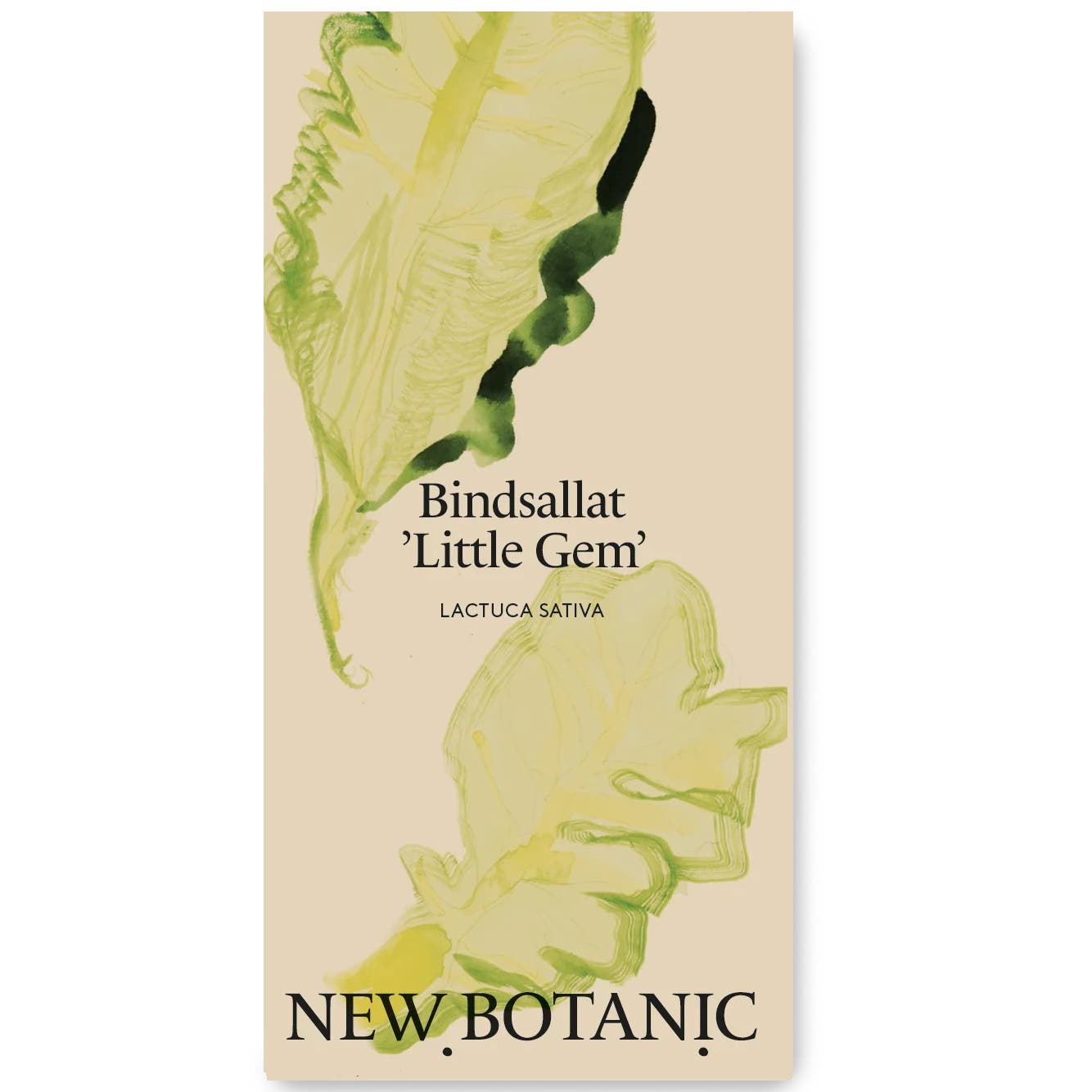 Seed Packet – Lettuce ‘Little Gem’