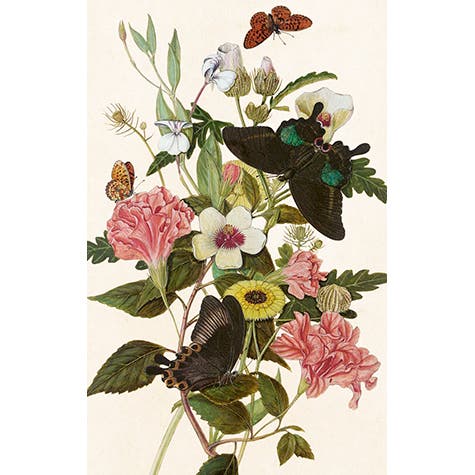 Gift Tag Butterfly 6x9,5