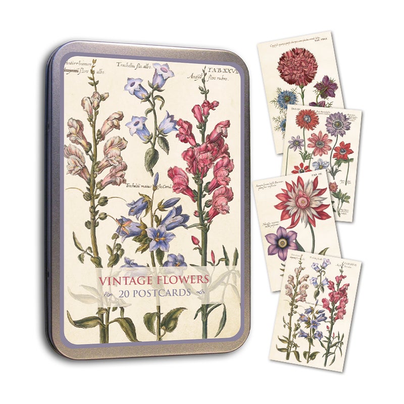Plåtlåda Med 20 Vykort Blommor