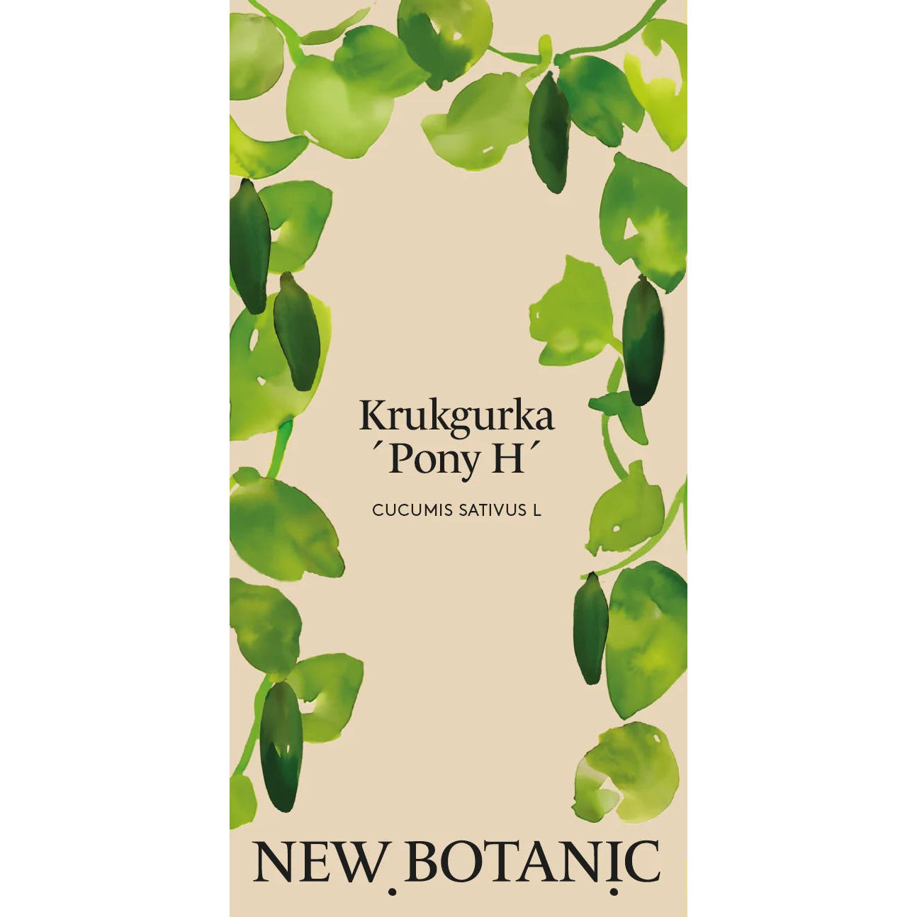 Seed Packet – Mini Cucumber 'Pony'