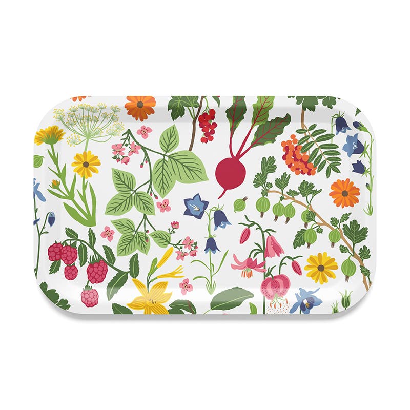 Tray Multi Hedemora