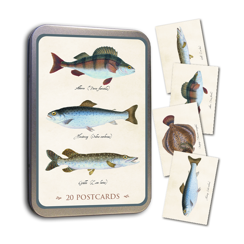 Plåtlåda Med 20 Vykort Fiskar