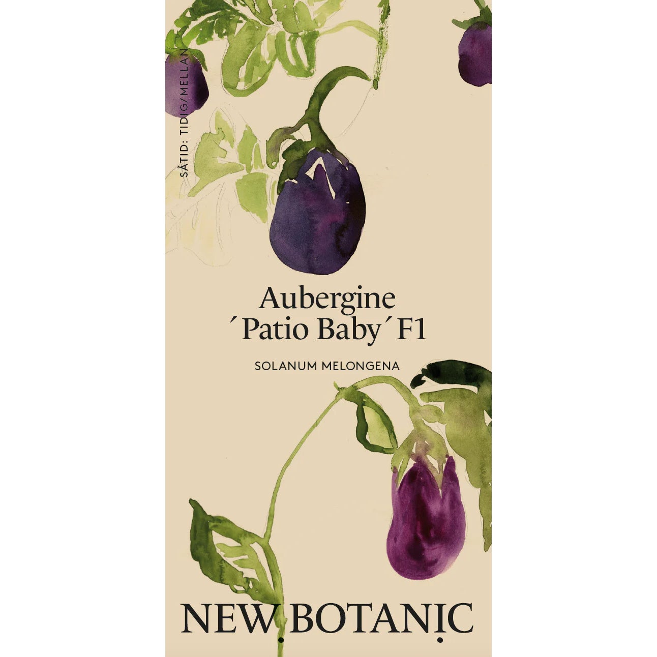 Seed Packet - Aubergine 'Patio Baby'