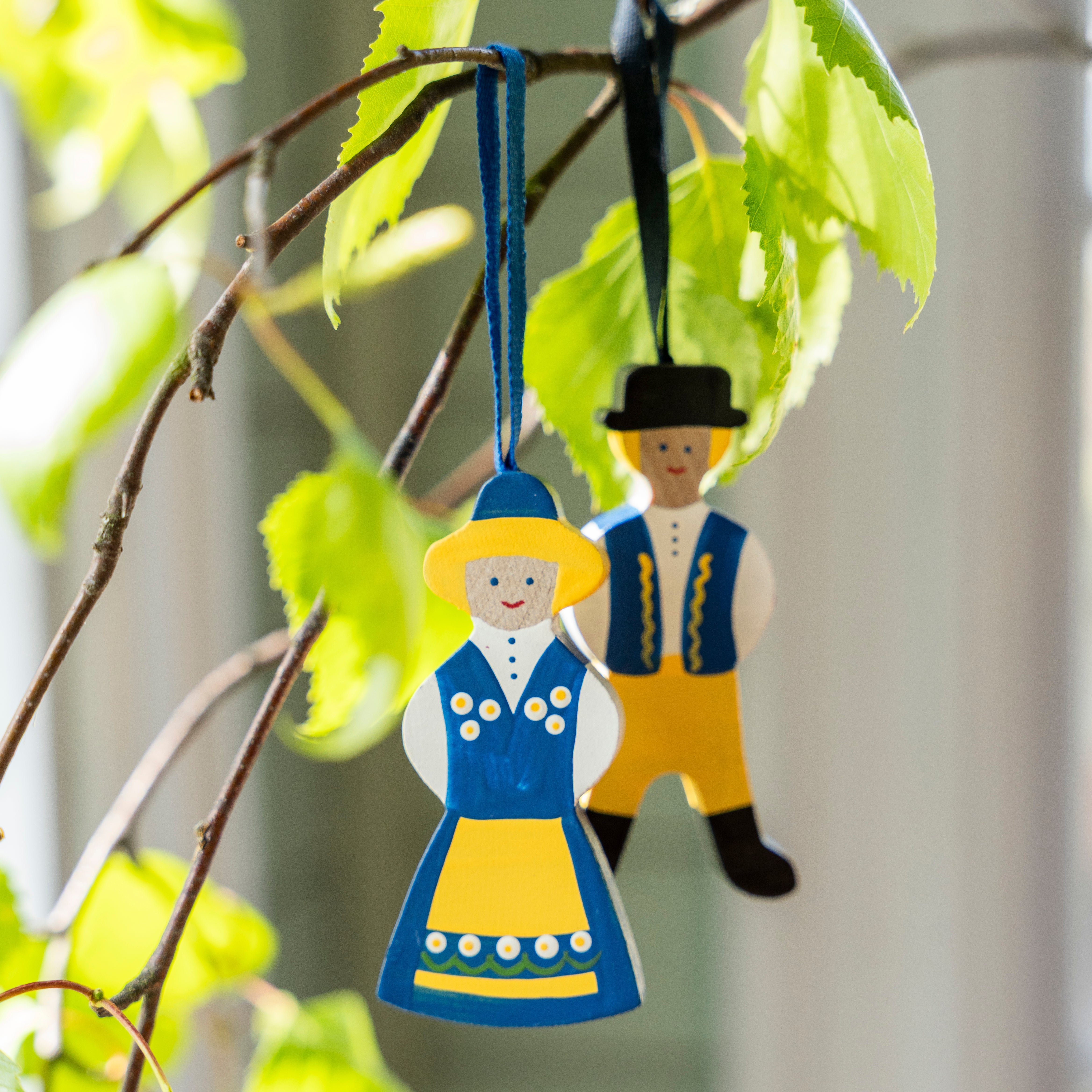 Fira Sveriges nationaldag med oss