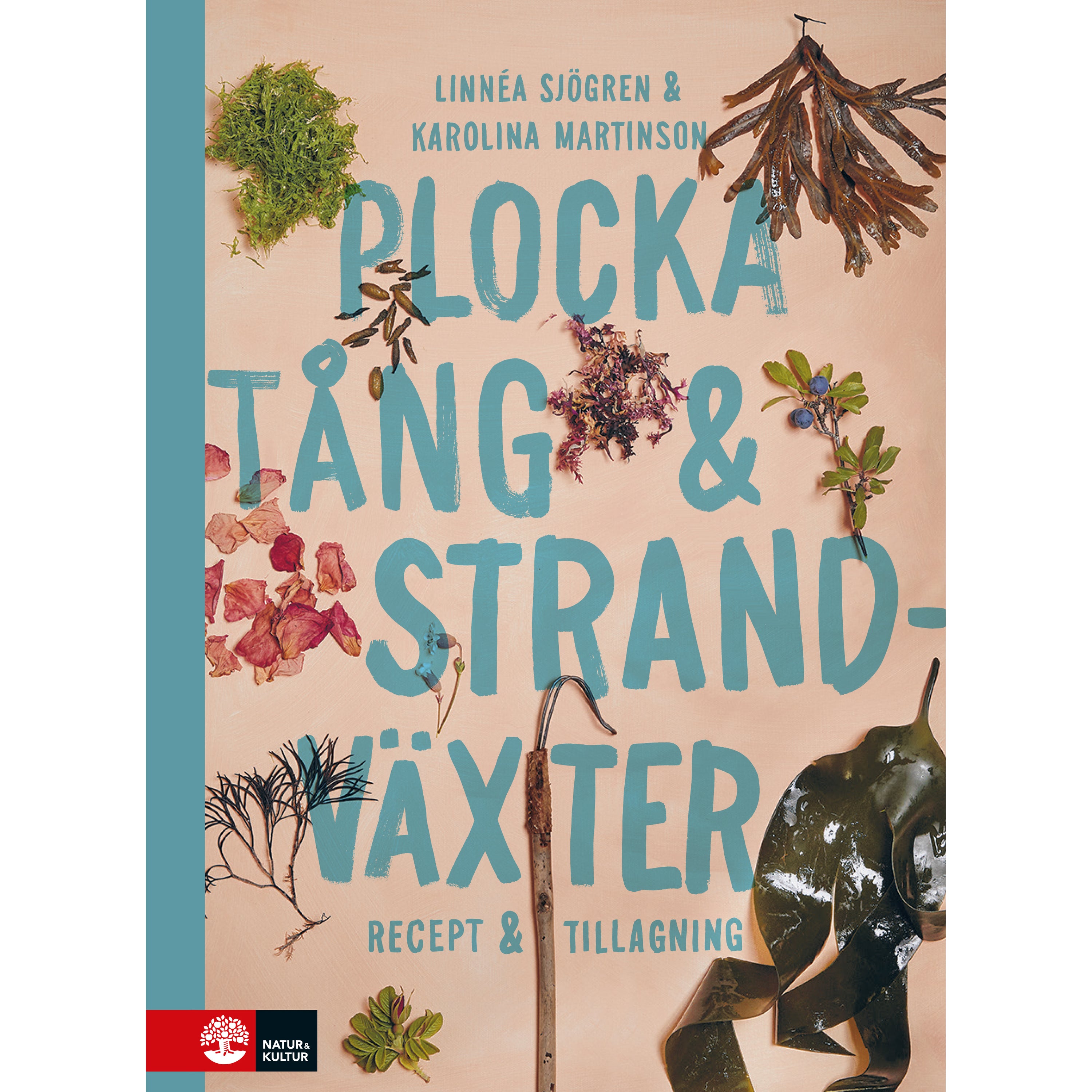 Plocka Tång Och Strandväxter