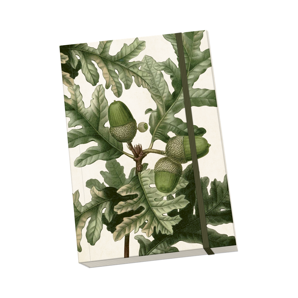 Anteckningsbok Ekollon A5