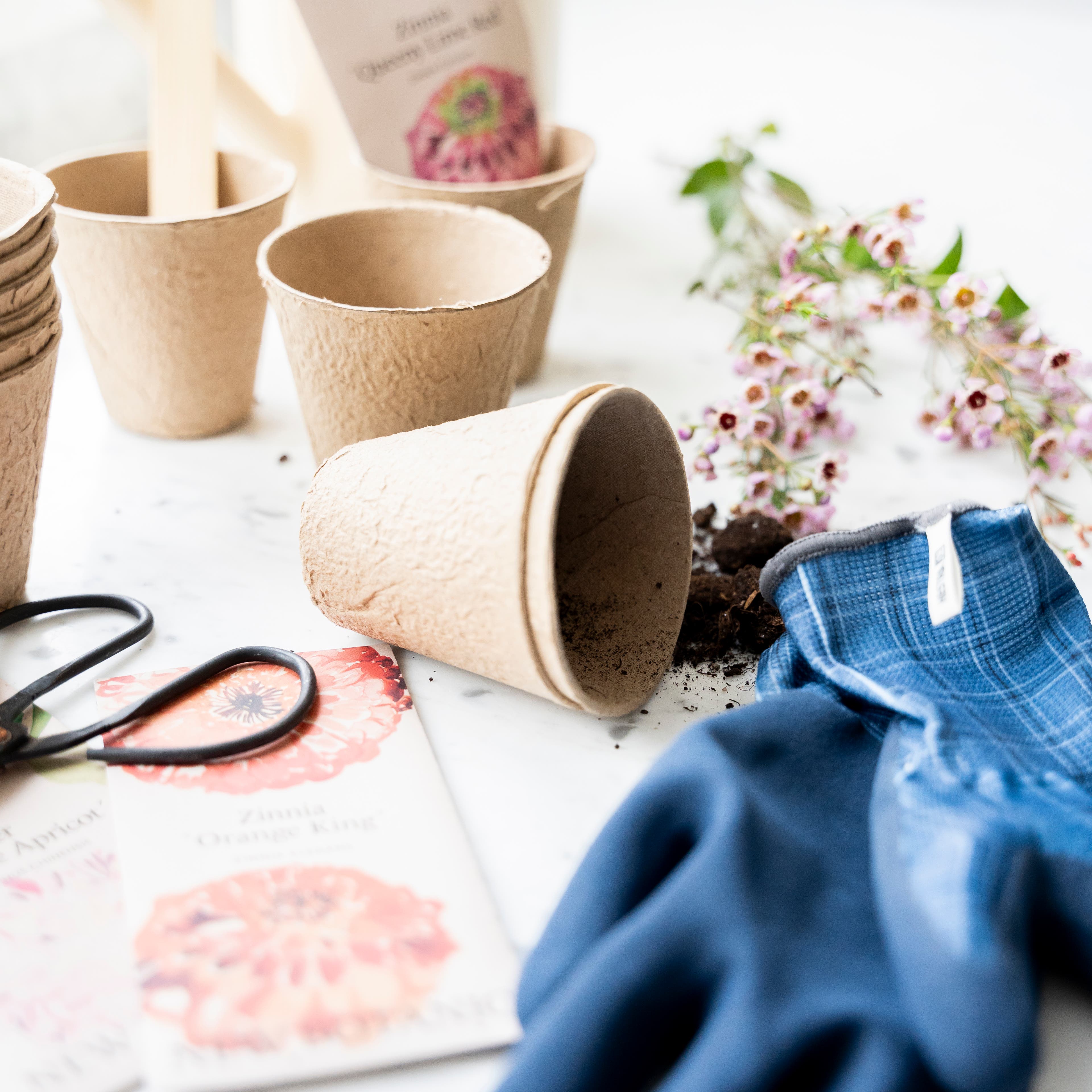 Från frö till skörd