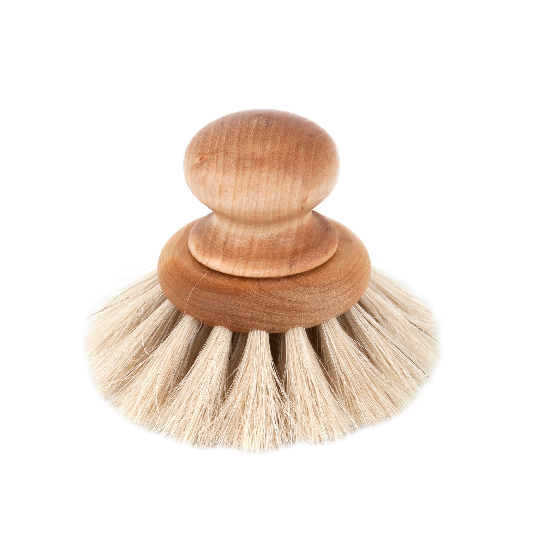 Diskborste Knopp