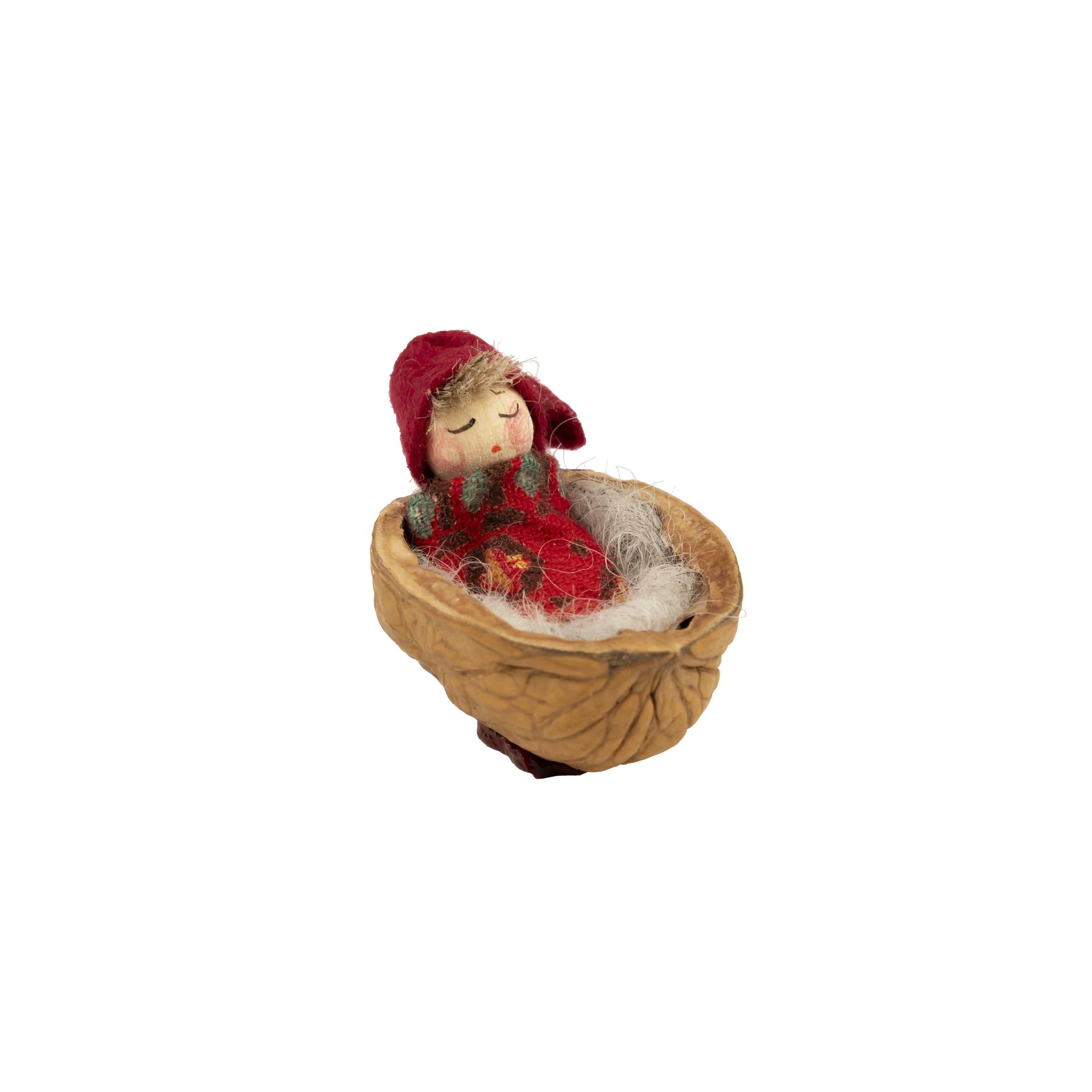 Baby in a Walnut Shell