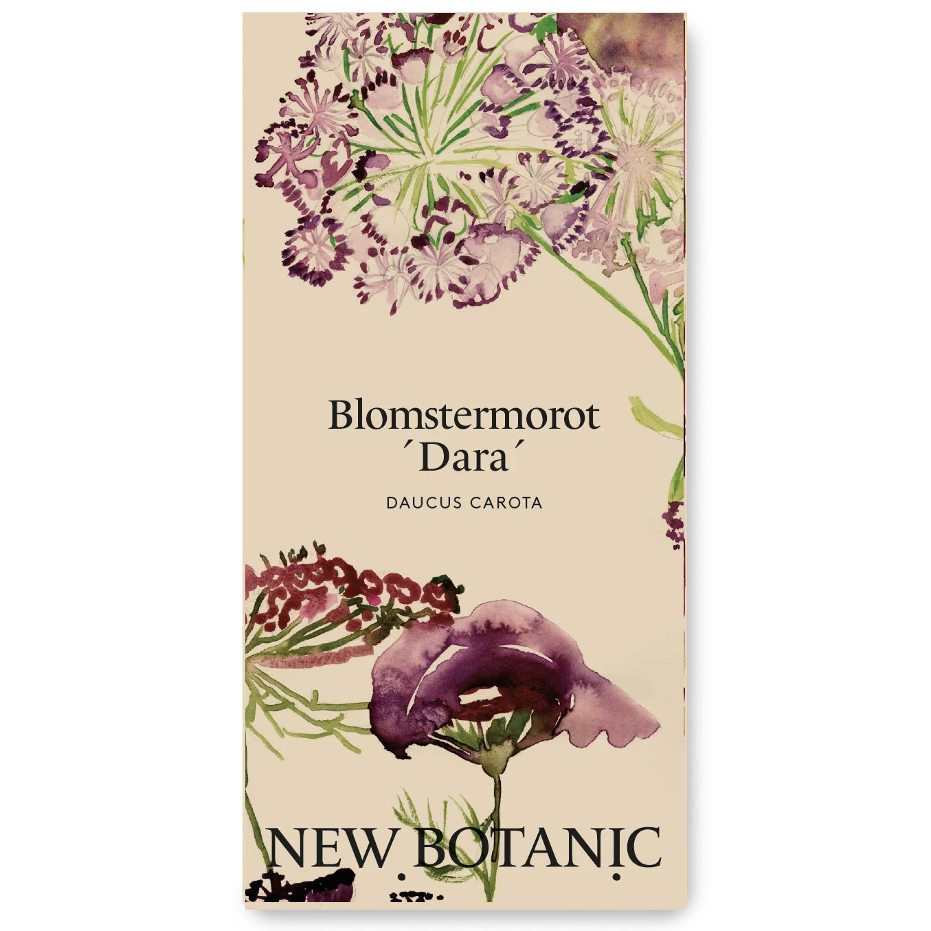 Seed Packet – Daucus ‘Dara’