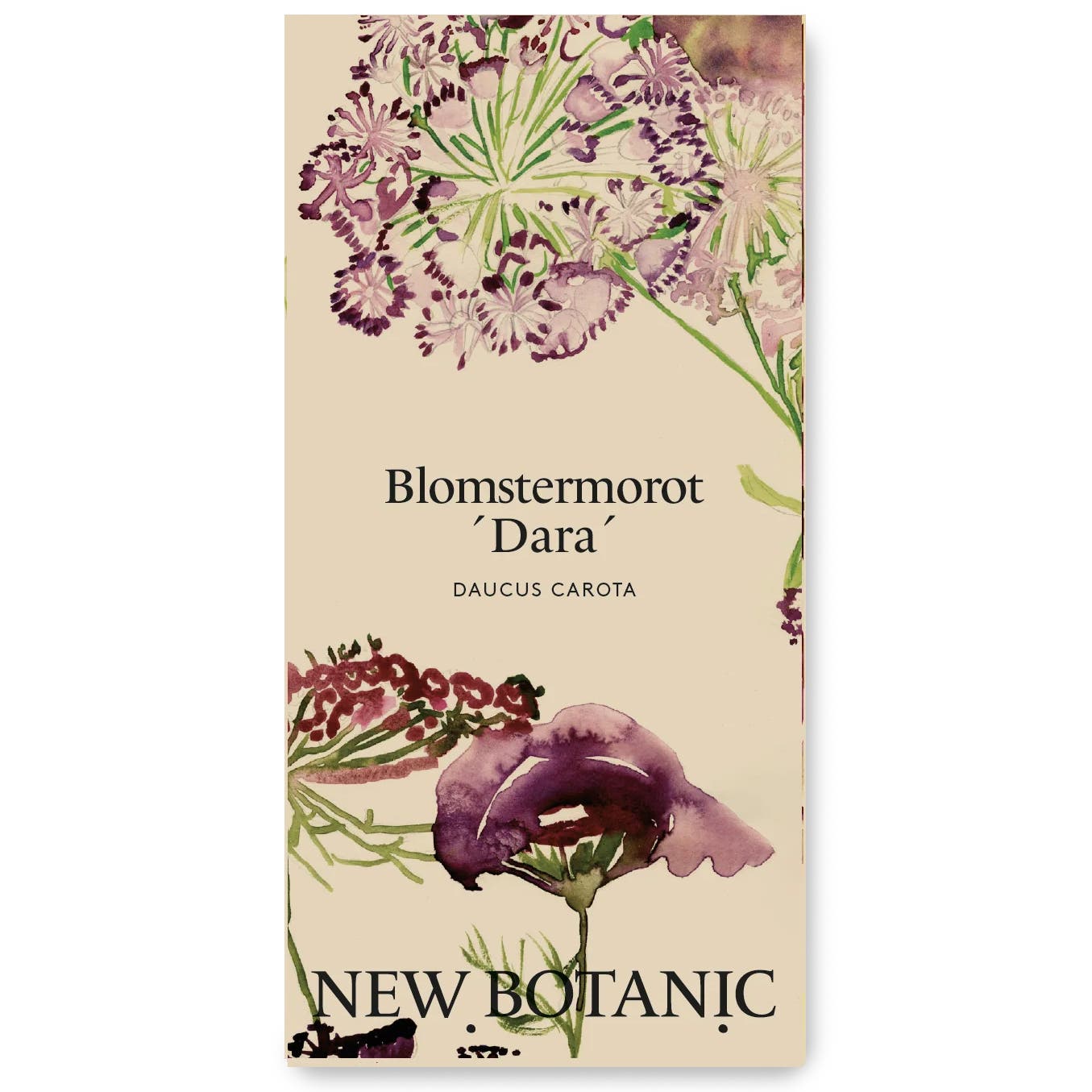 Seed Packet – Daucus ‘Dara’