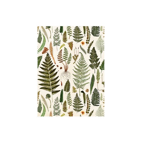 Card with Envelope Leaves & Foliage 8,5x11,5