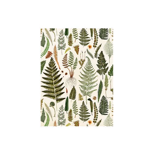 Card with Envelope Leaves & Foliage 8,5x11,5