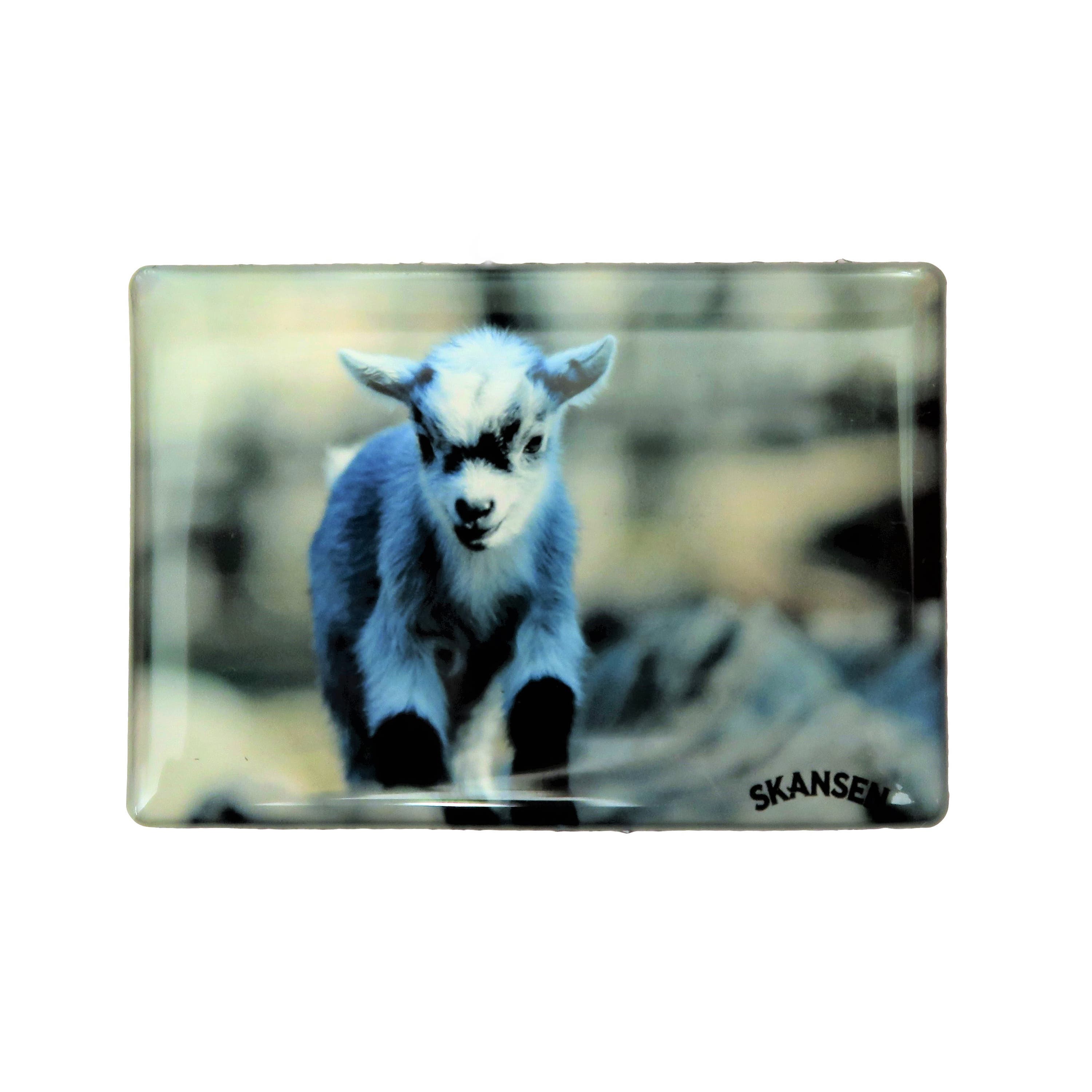 Magnet Goat Kid