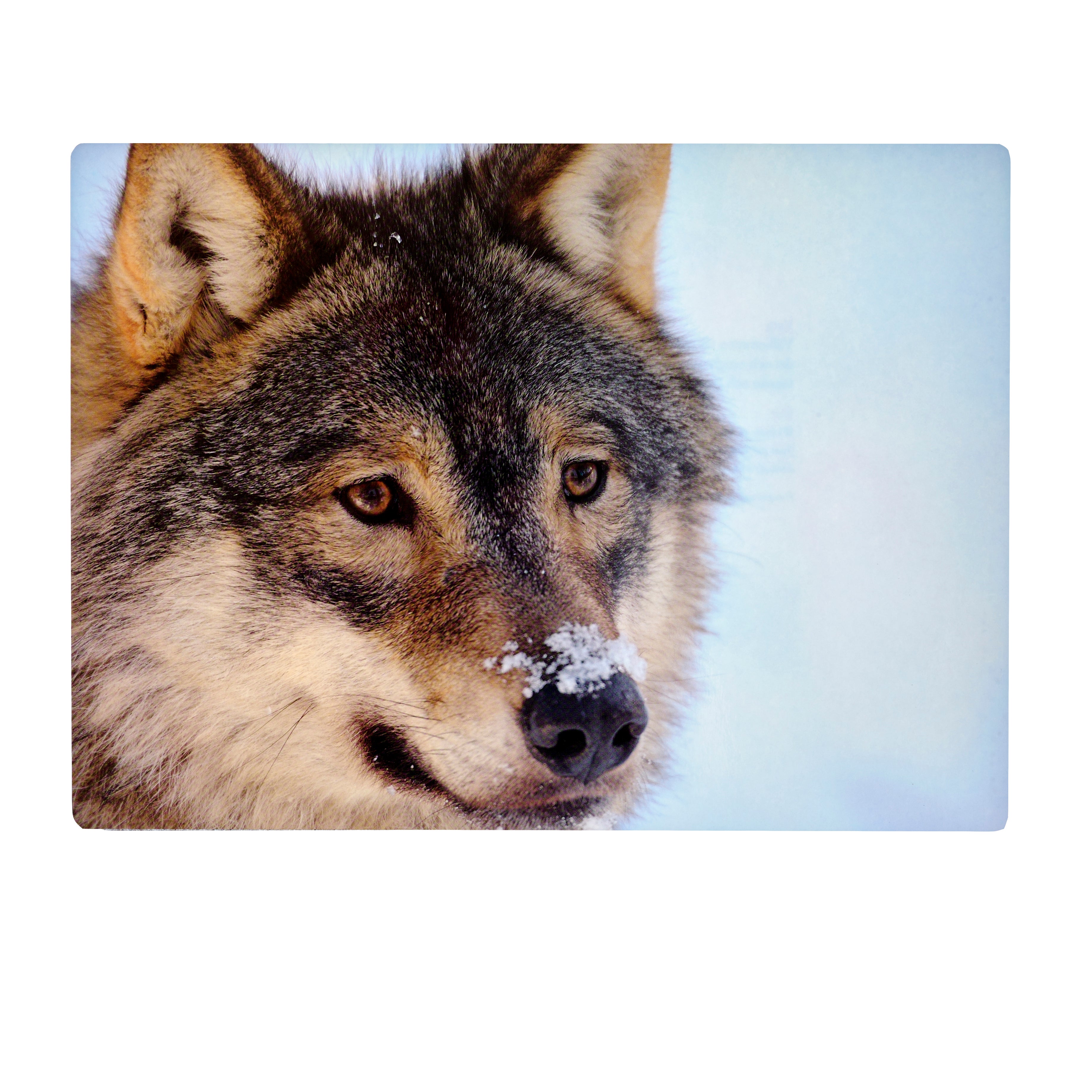 Placemat Wolf