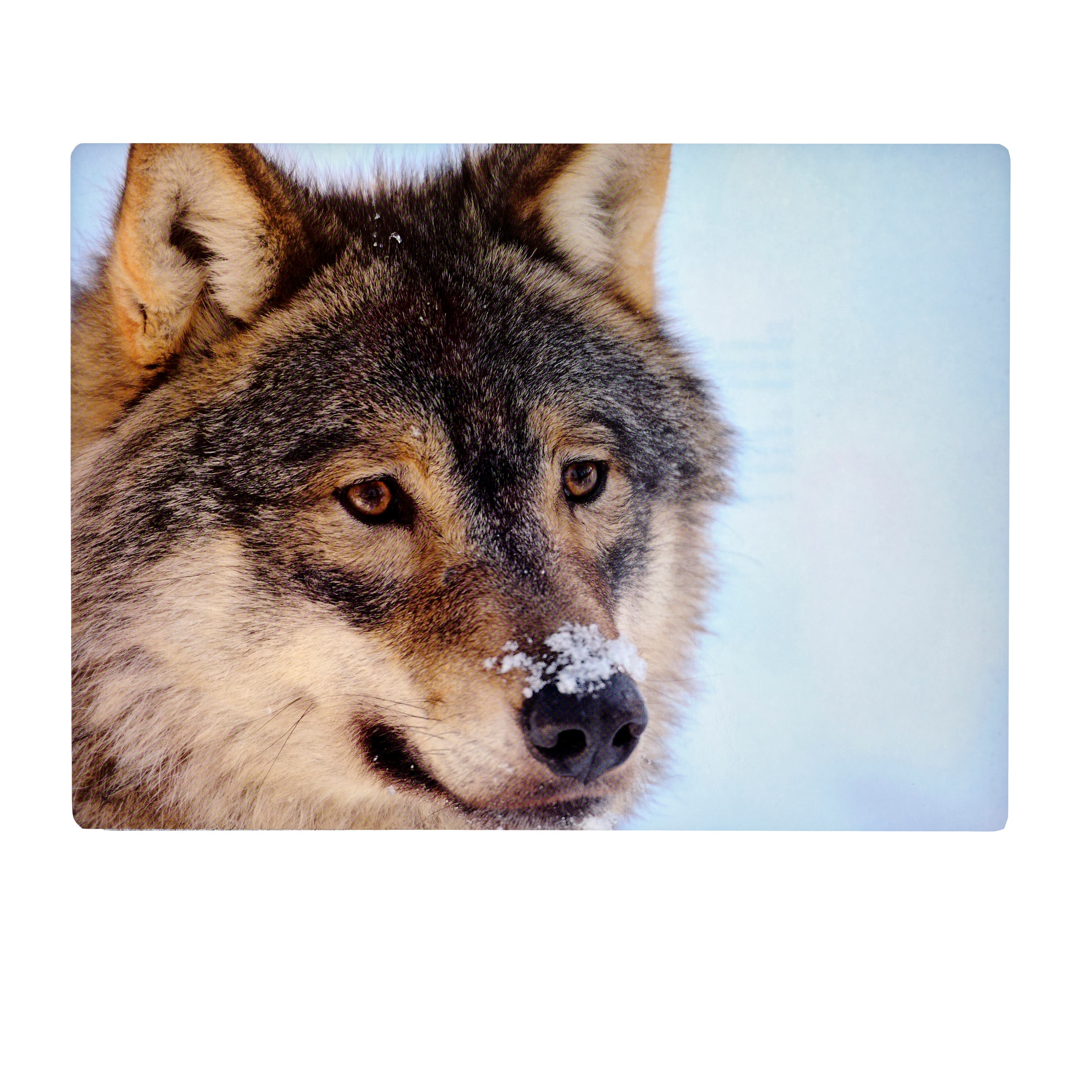 Placemat Wolf