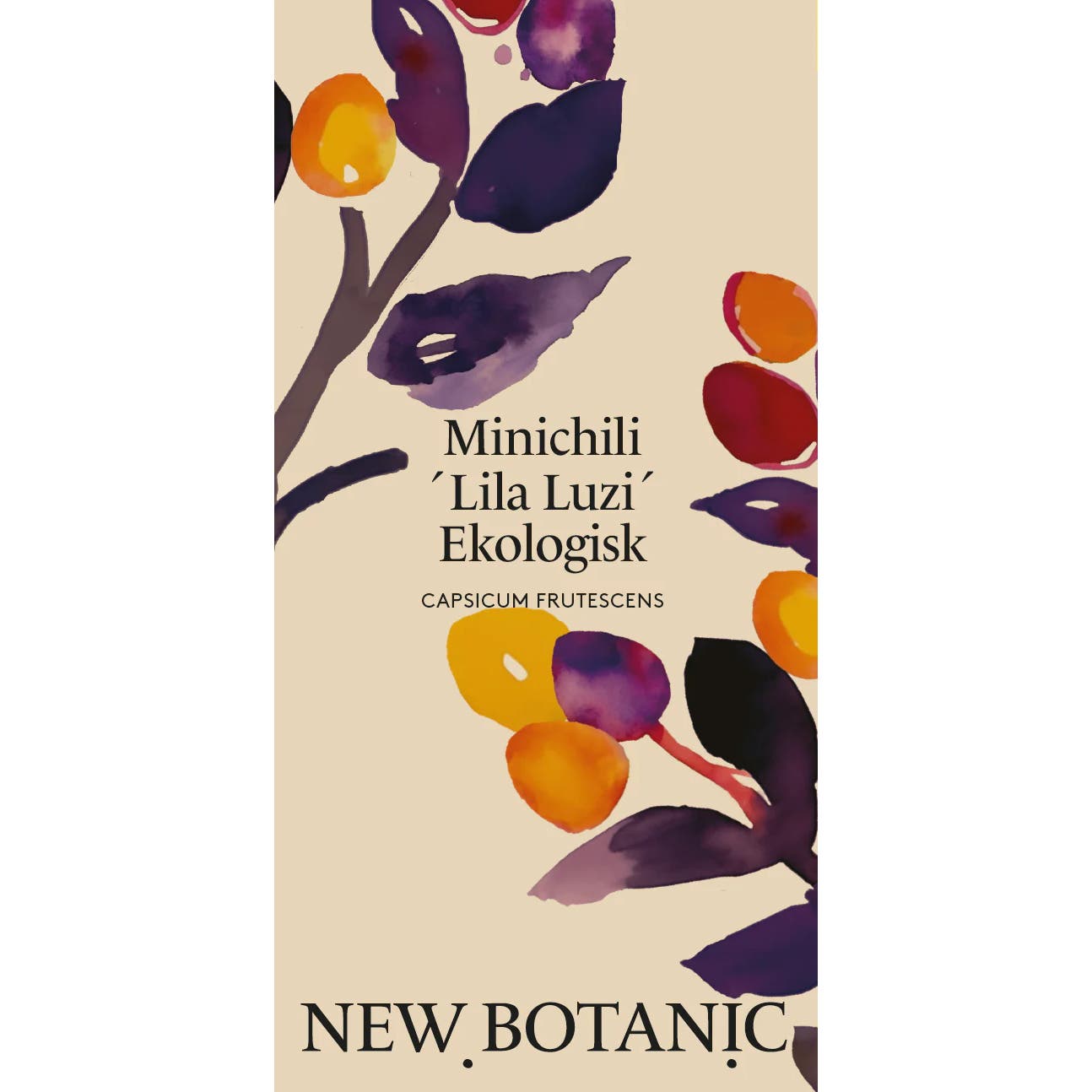 Seed Packet - Mini Chili 'Lila Luzi' Organic