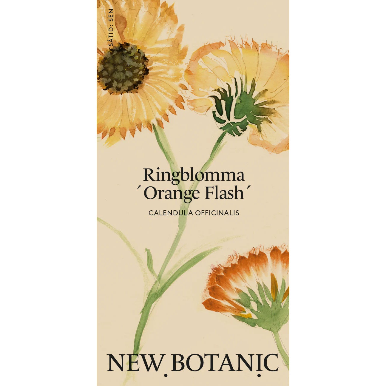 Seed Packet – Calendula 'Orange Flash'
