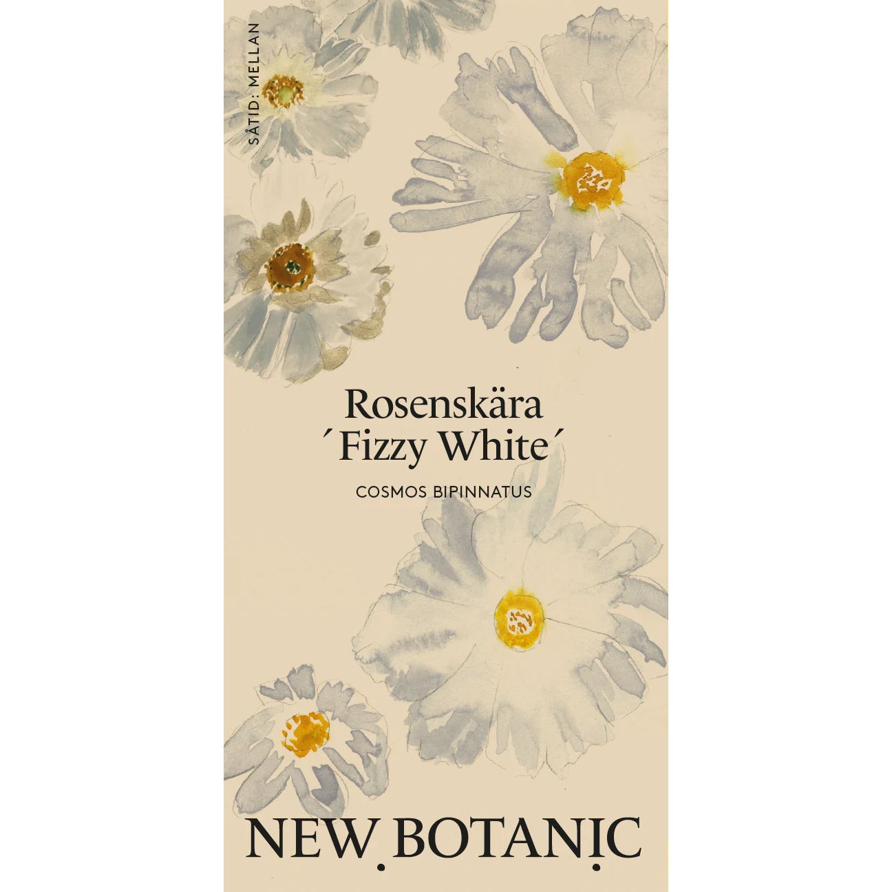 Seed Packet – Cosmos 'Fizzy White'