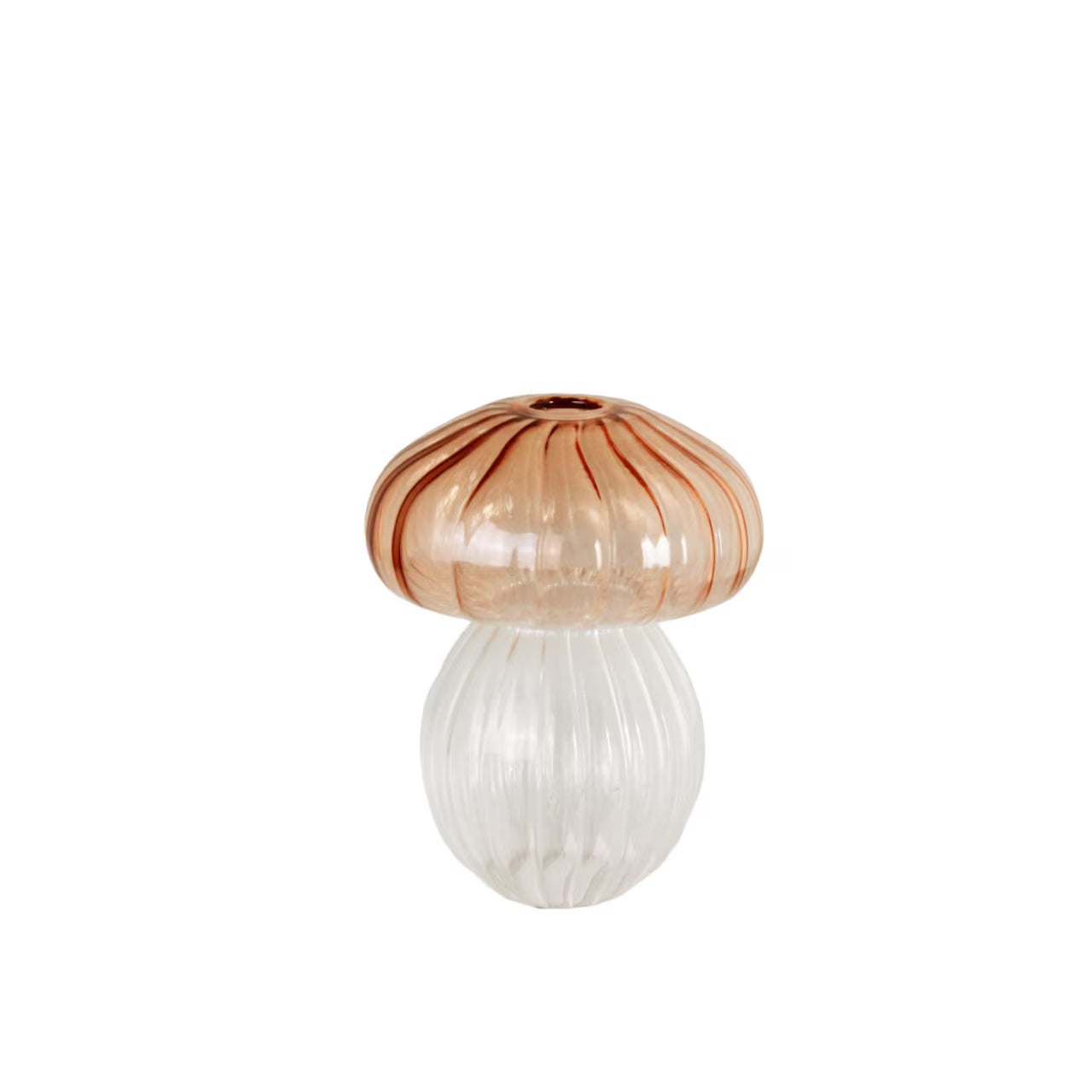 Svamp Låg Persika Glas