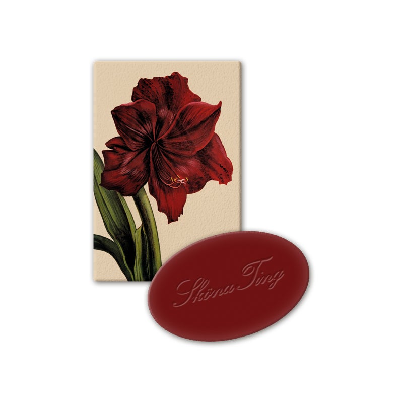 Guest Soap Christmas Apple